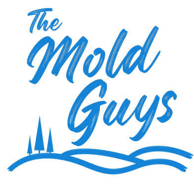 The Nashville Mold Guys